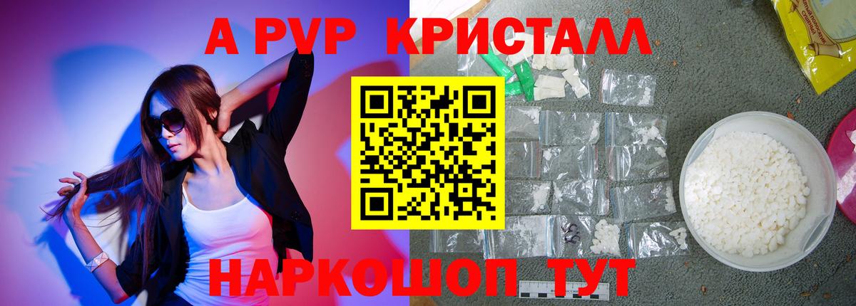 A PVP СК КРИС Котлас