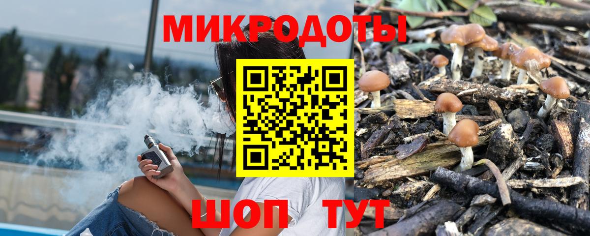 Котлас  Псилоцибиновые грибы ЛСД  Вход с VPN 